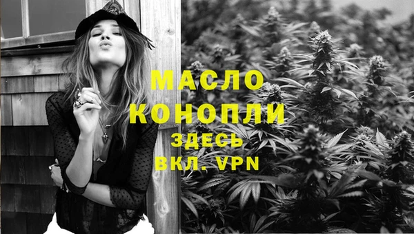 ПСИЛОЦИБИНОВЫЕ ГРИБЫ Гусев