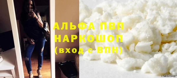 ПСИЛОЦИБИНОВЫЕ ГРИБЫ Гусев