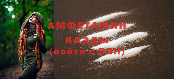 ПСИЛОЦИБИНОВЫЕ ГРИБЫ Гусев