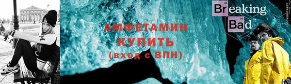 ПСИЛОЦИБИНОВЫЕ ГРИБЫ Гусев