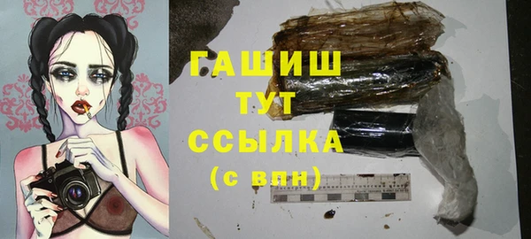 сатива Гусь-Хрустальный