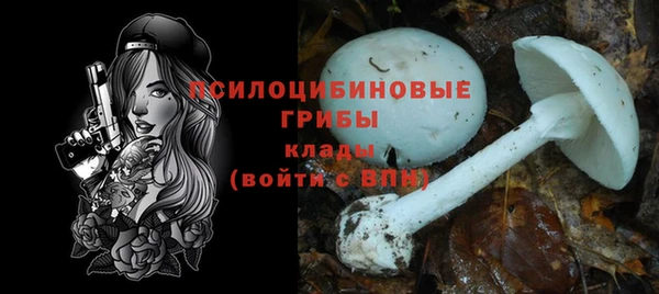 мдпв Гусиноозёрск