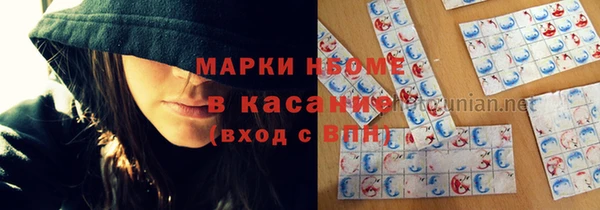 сатива Гусь-Хрустальный