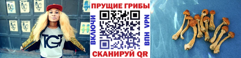 Галлюциногенные грибы Magic Shrooms Миллерово