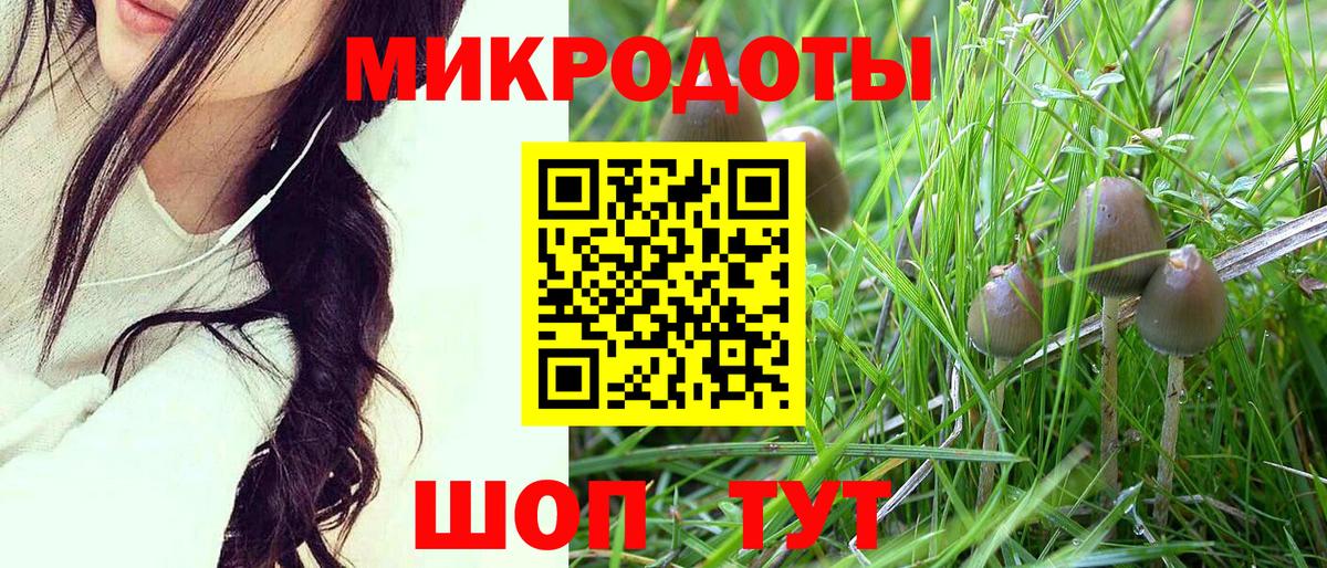 Миллерово  Галлюциногенные грибы Psilocybine cubensis  Вход с VPN 